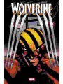 Wolverine #29 Cvr A Martin Coccolo