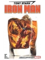 Tony Stark Iron Man vol 2: Stark Realities s/c