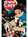 Demon Slayer vol 1