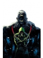Absolute Green Arrow #6 (of 12) Cvr A Rafael Albuquerque