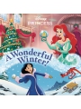 A Wonderful Winter!