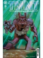 Tmnt Journeys #13 Cvr A Michael Dooney