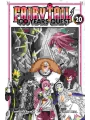 Fairy Tail 100 Years Quest vol 20