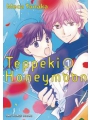 Teppeki Honeymoon vol 1