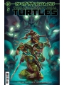 Teenage Mutant Ninja Turtles #21 Cvr A Fero Pe