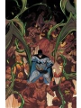 Batman Bad Seeds Streets Of Gotham #1 Cvr A Javi Fernandez