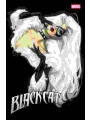 Black Cat #9 Cvr A Adam Hughes