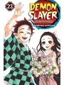 Demon Slayer vol 23