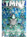 TMNT Journeys #9 Cvr A Michael Dooney