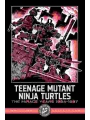 Teenage Mutant Ninja Turtles The Mirage Years 1984-1987idw Classic Collections s/c