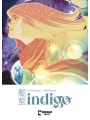 Indigo s/c