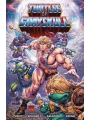 Masters Of The Universe TMNT Turtles Of Grayskull s/c