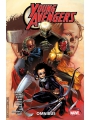 Young Avengers Omnibus s/c