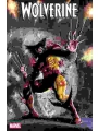 Wolverine #31 Cvr A Juan Ferreyra