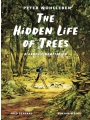 The Hidden Life Of Trees: A Graphic Adaptation h/c