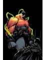 Absolute Batman #9 Cvr A Nick Dragotta