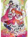 A Tale Of The Secret Saint Light Novel vol 11