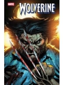 Wolverine #10