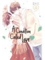 A Condition Of Love vol 13