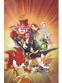 DC X Sonic The Hedgehog #3 (of 5) Cvr A Pablo M Collar