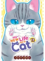 My New Life As A Cat vol 11