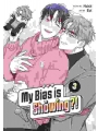 My Bias Is Showing?! vol 3