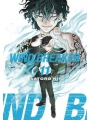 Wind Breaker vol 11