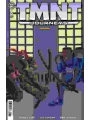 TMNT Journeys #8 Cvr A Michael Dooney