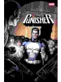 Punisher #10 Cvr A David Marquez