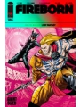 Fireborn #3 Cvr A Patrick Mulholland