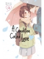 A Condition Of Love vol 14
