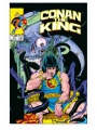 King Conan The Original Comics Omnibus h/c vol 2 Regular Edition Mike Kaluta