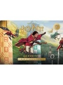 Harry Potter Quidditch h/c