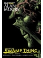 Saga Of The Swamp Thing vol 6 s/c