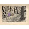 Untitled Apes Epic Adventure s/c
