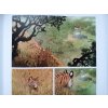 Love vol 1: The Tiger h/c